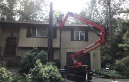 full-service-tree-stump-removal-in-medford-nj-3