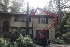 full-service-tree-stump-removal-in-medford-nj-3