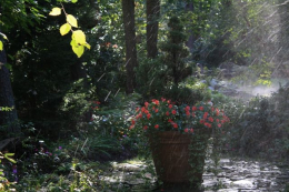 Landscaping