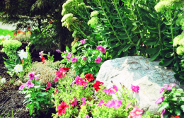 landscaping13