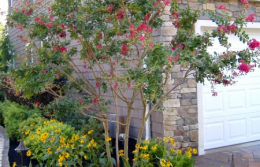 landscaping14