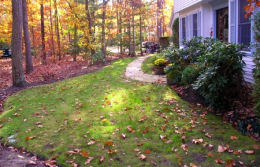 landscaping21