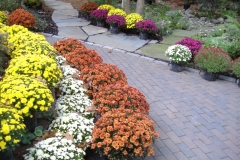 fall 2006 037