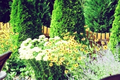 landscaping12