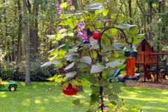 landscaping15