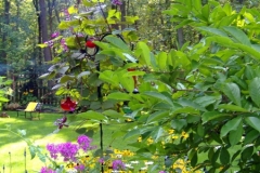 landscaping16