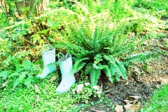 landscaping2