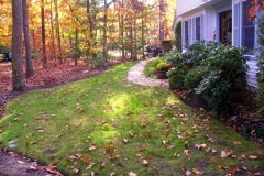 landscaping21