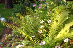 landscaping28