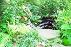 landscaping4