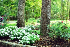 landscaping7