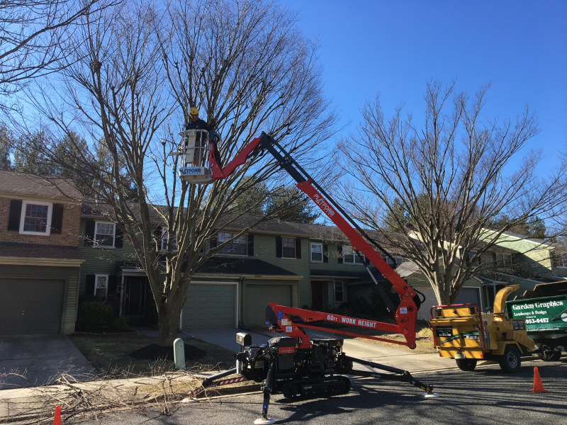 Medford-Tree-Removal-Stump-Removal-Tree-Pruning-2