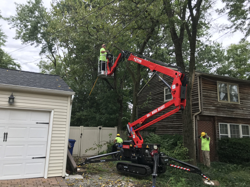 Medford-Tree-Removal-Stump-Removal-Tree-Pruning-6