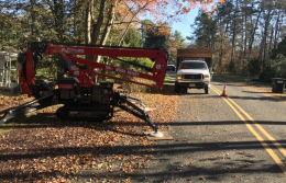 Medford-Tree-Removal-Stump-Removal-Tree-Pruning-5