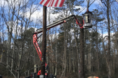 Medford-Tree-Removal-Stump-Removal-Tree-Pruning-11