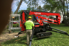 Medford-Tree-Removal-Stump-Removal-Tree-Pruning-3