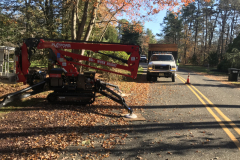 Medford-Tree-Removal-Stump-Removal-Tree-Pruning-5