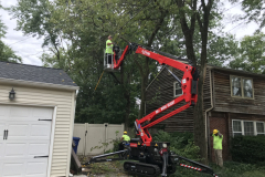 Medford-Tree-Removal-Stump-Removal-Tree-Pruning-6