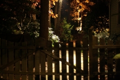 Fall11