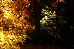 Fall5