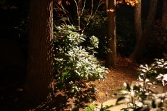 Fall8