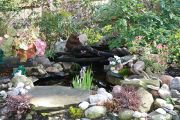 Ponds and Pools