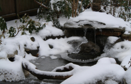 Copy of Winter 2011 038