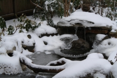 Copy of Winter 2011 038