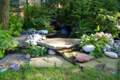 pondspools4