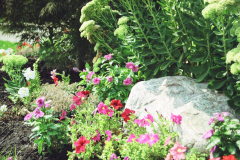 Spring-Flower-Planting-service-4