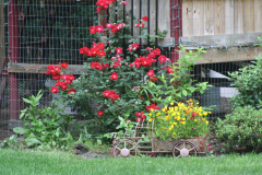 Spring-Flower-Planting-service-9