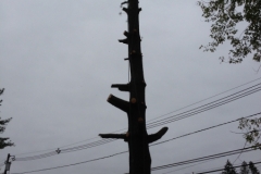 I phone 064