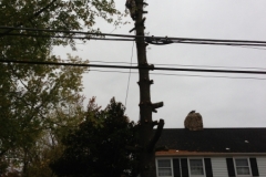 I phone 065
