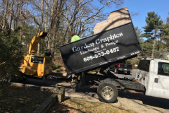 medford-Tree-Services-4