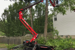 medford-Tree-Services-5