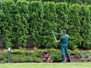 South Jersey Landscaping Services
