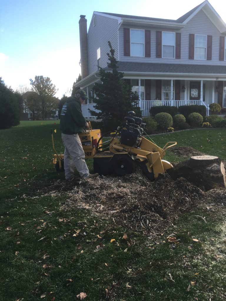 Medford New Jersey Tree Service Company Garden Graphics LLC