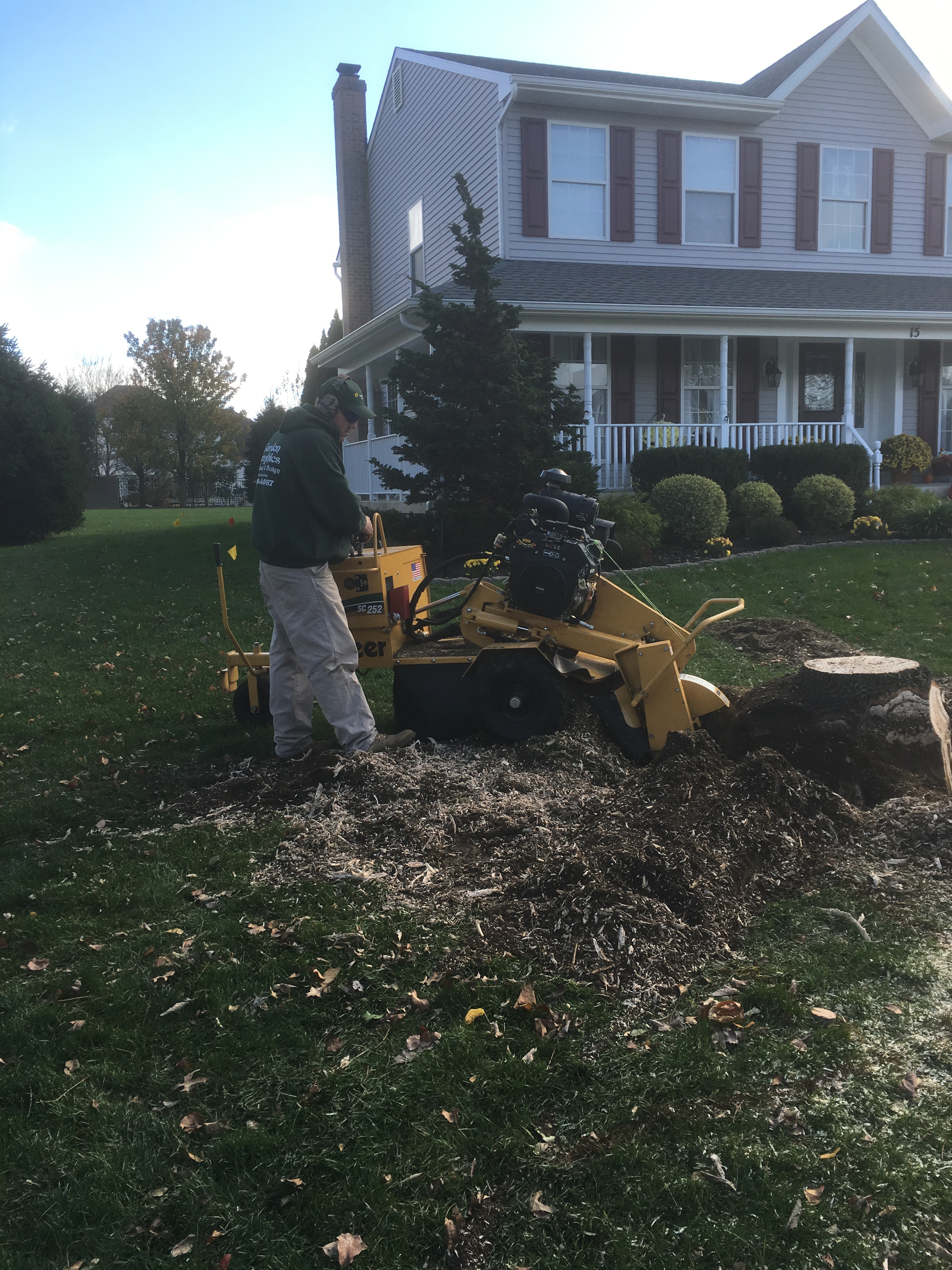 Medford New Jersey Tree Service Company