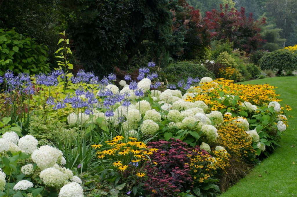 Mount Laurel Landscaping Companies