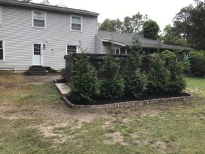 New Backyard Landscape and Patio in Medford, NJ